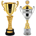Престижные кубки