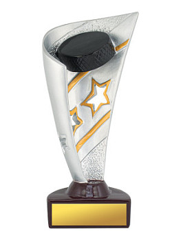 Приз тематический «Хоккей» - PS1949